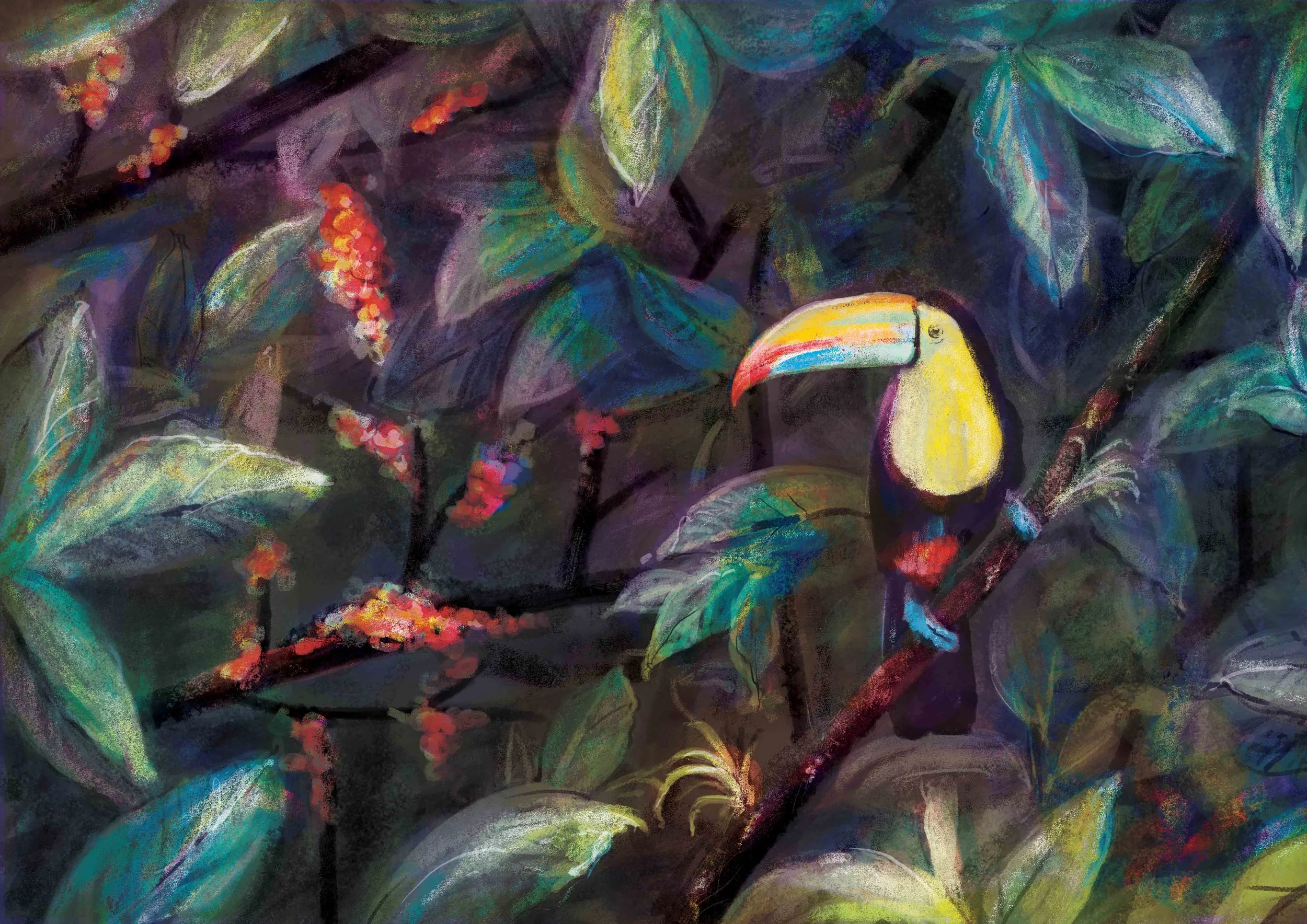 #Colour Tocaaan Filtered4_small.jpg