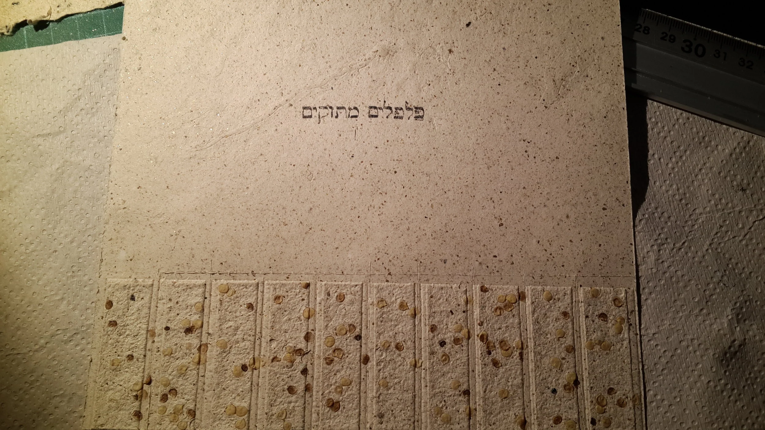 20150503_121240.jpg