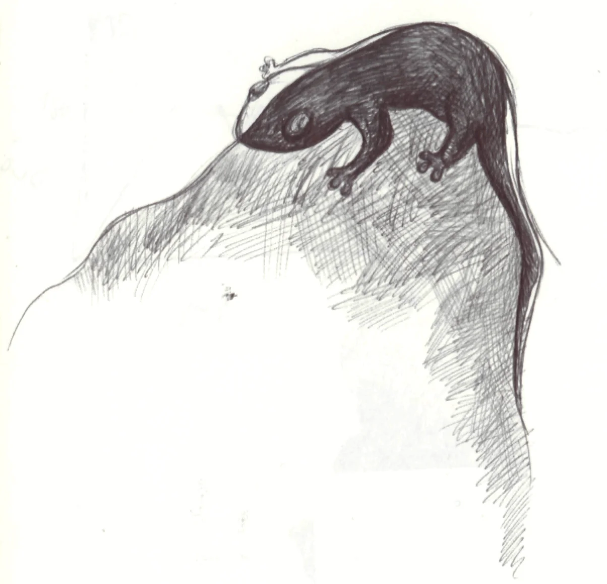 2014-07-21-12-07-f47-01.jpg
