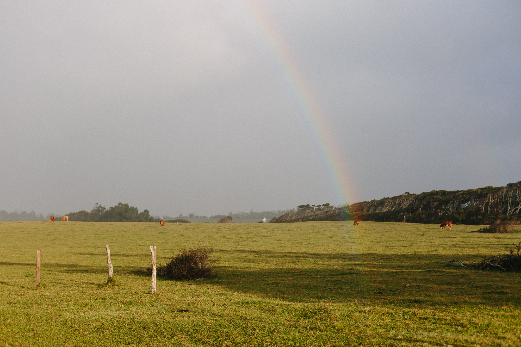  Had to pose and zoom in. Do you see what I see? Rainbow in the shades? Someone looking 20m behind, could probably see me in the rainbow too. How crazy and magical is that?! 