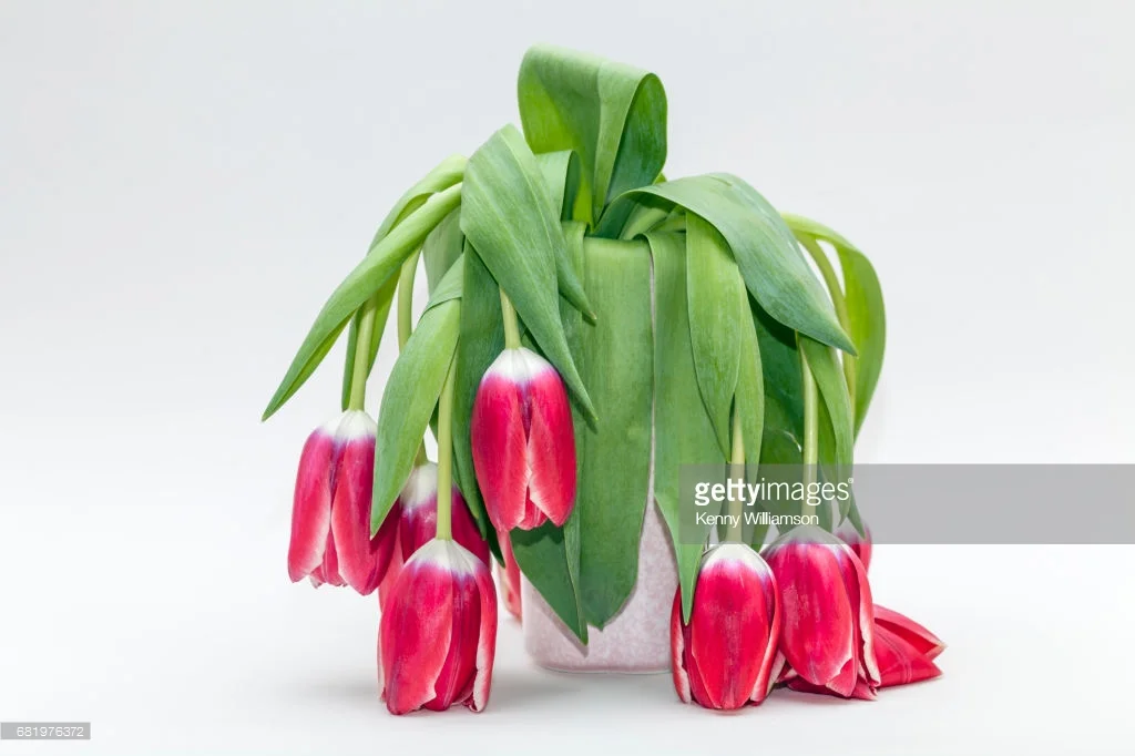 6 strategische tips om als leidinggevende niet uitgeput te geraken, ook toepasbaar op het thuisfront!