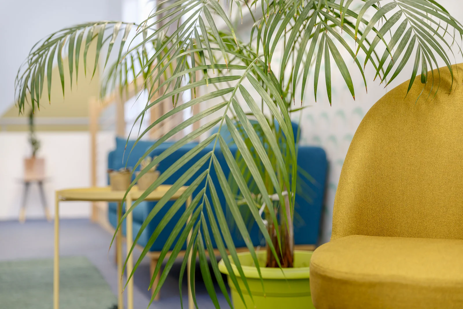 GREENSPACE-032.jpg