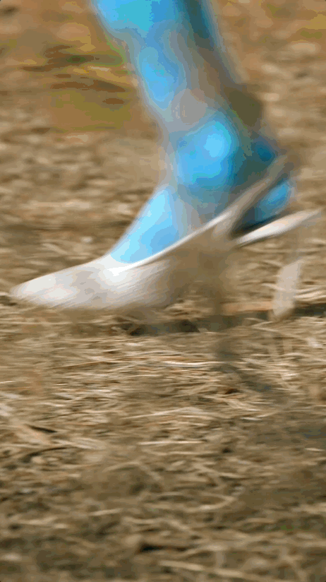 3.gif