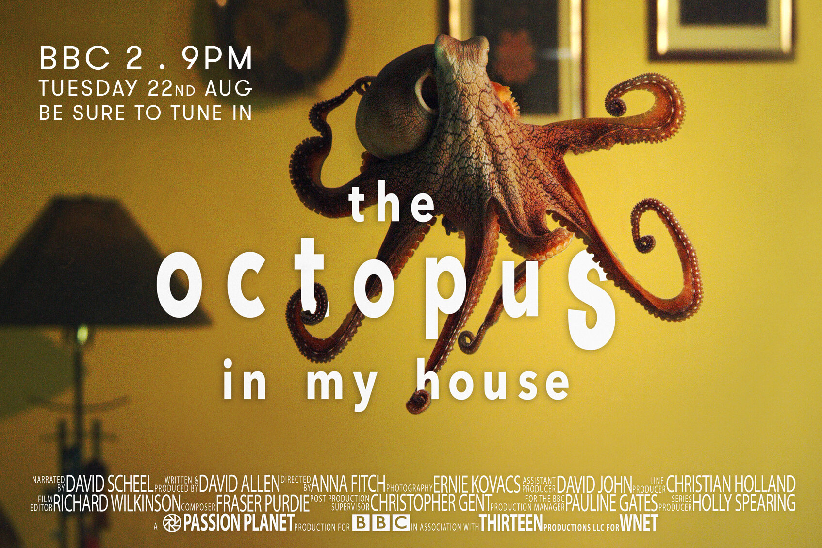The Octopus In My House