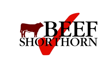 Beef-shorthon.jpg