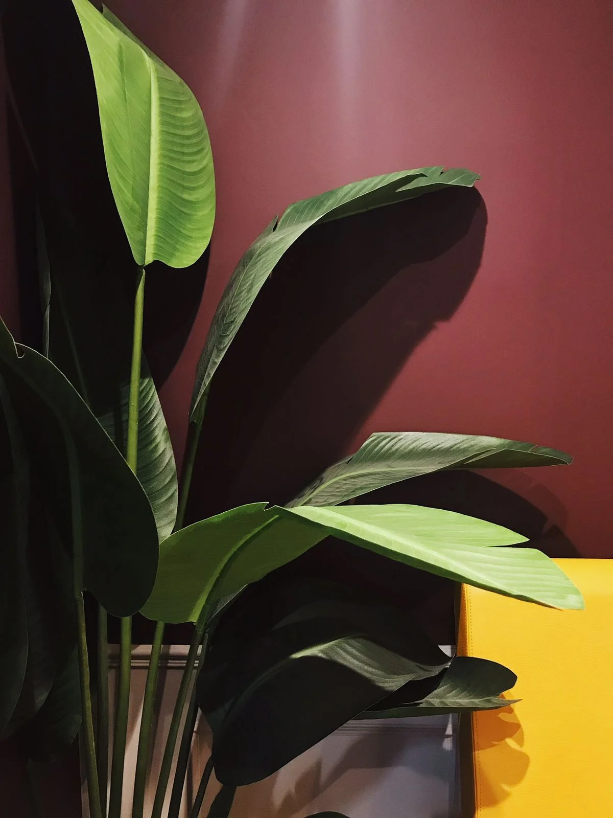 WhatsApp Image 2018-06-26 at 2.05.01 PM.jpeg