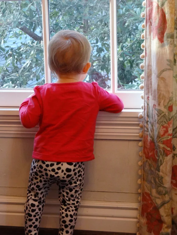 stella window