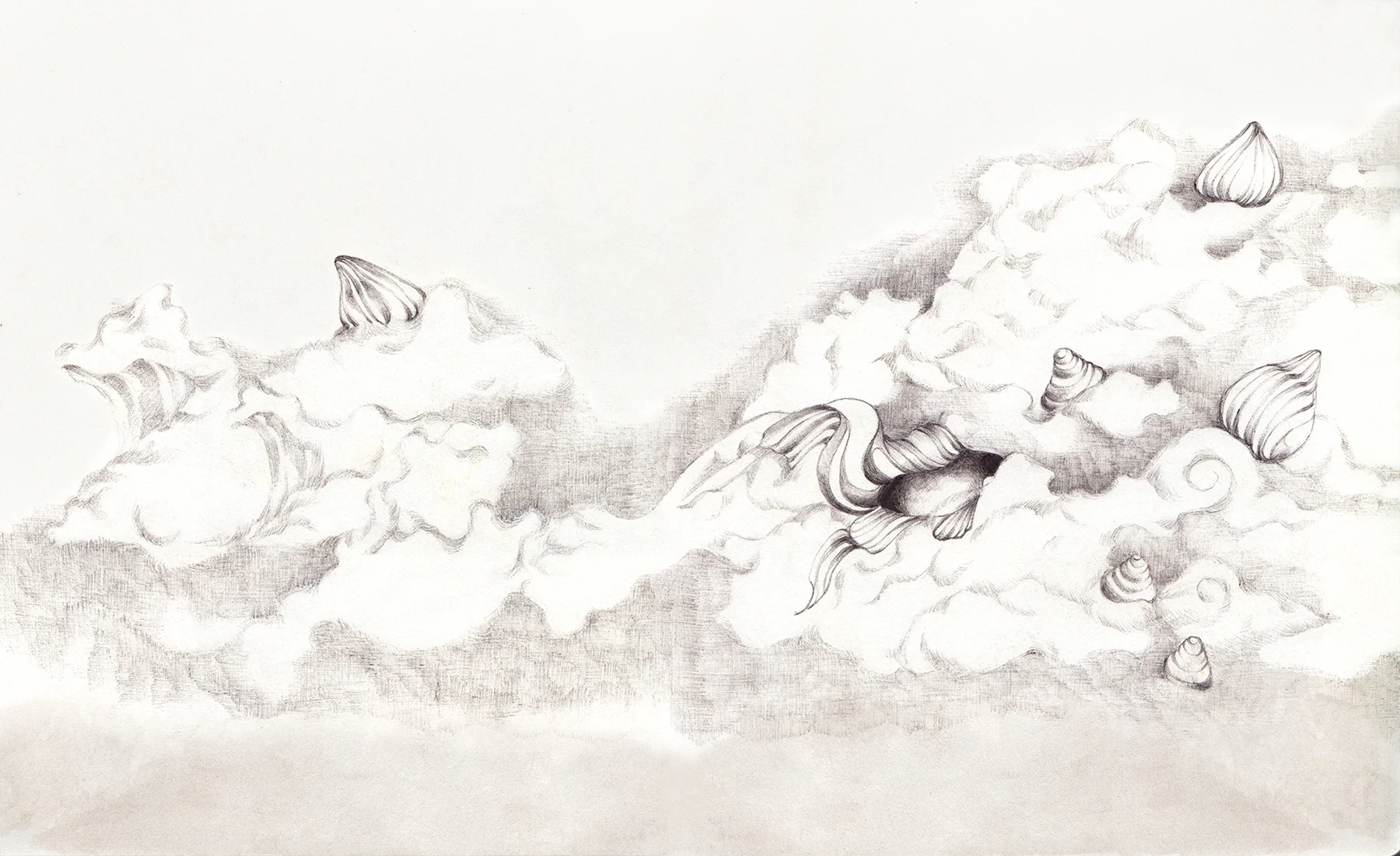 Scan 2.jpg