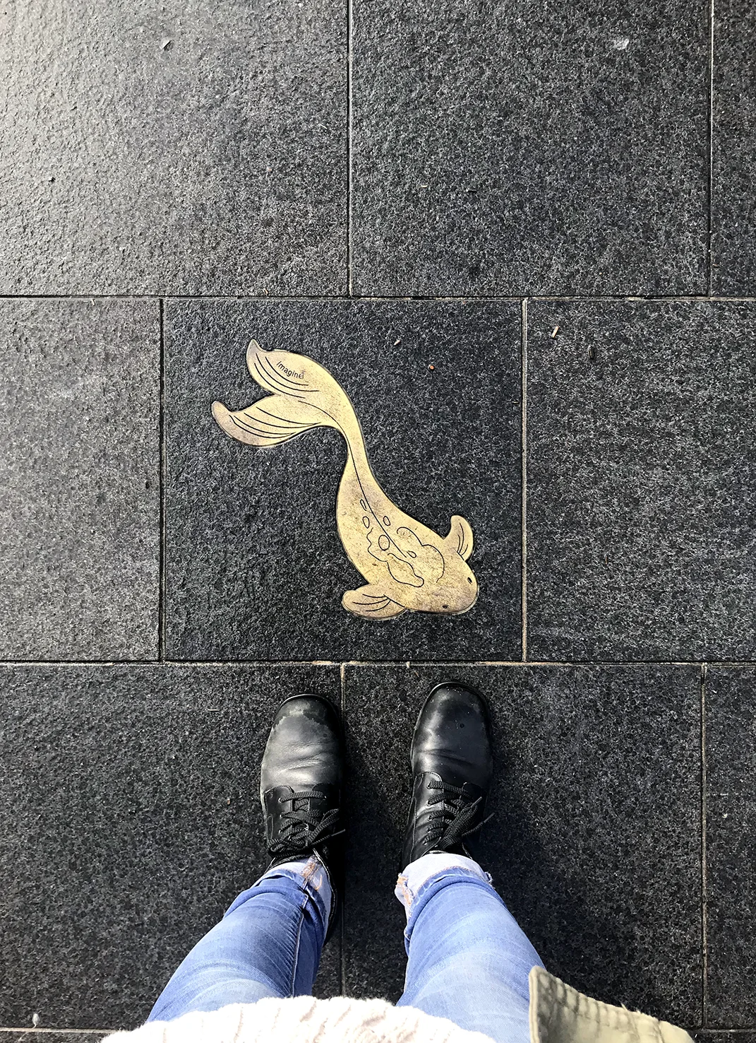 golden-koi-trail.jpg
