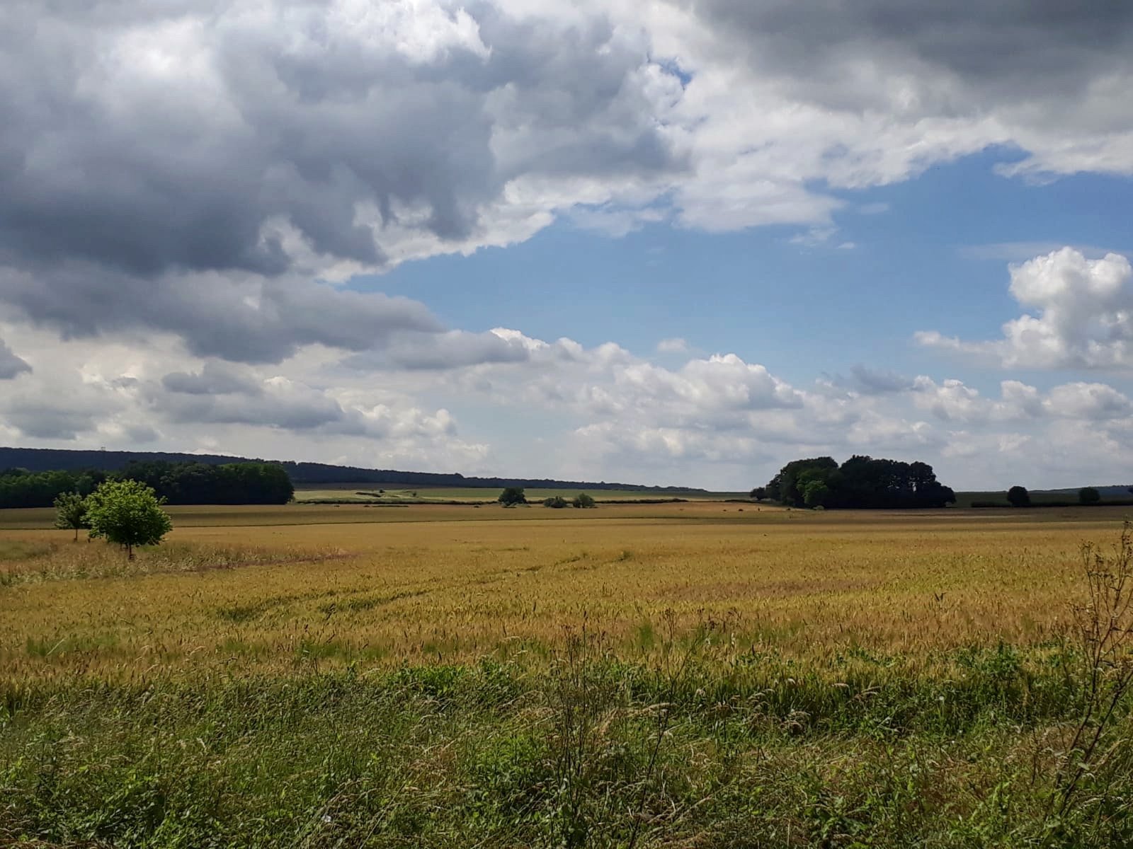 2018Taizé landscape down the hill.jpg