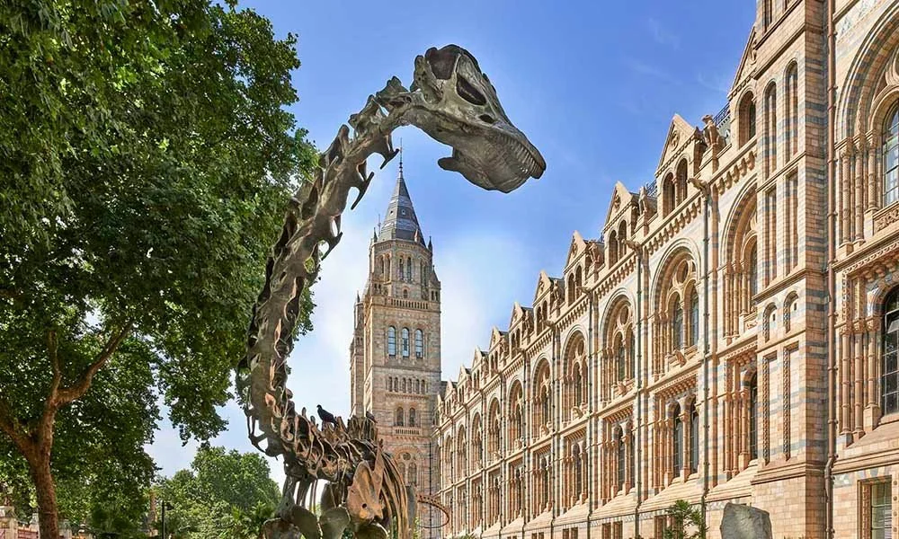 Natural History Museum London event venue with grand historic hall for receptions and dinners
