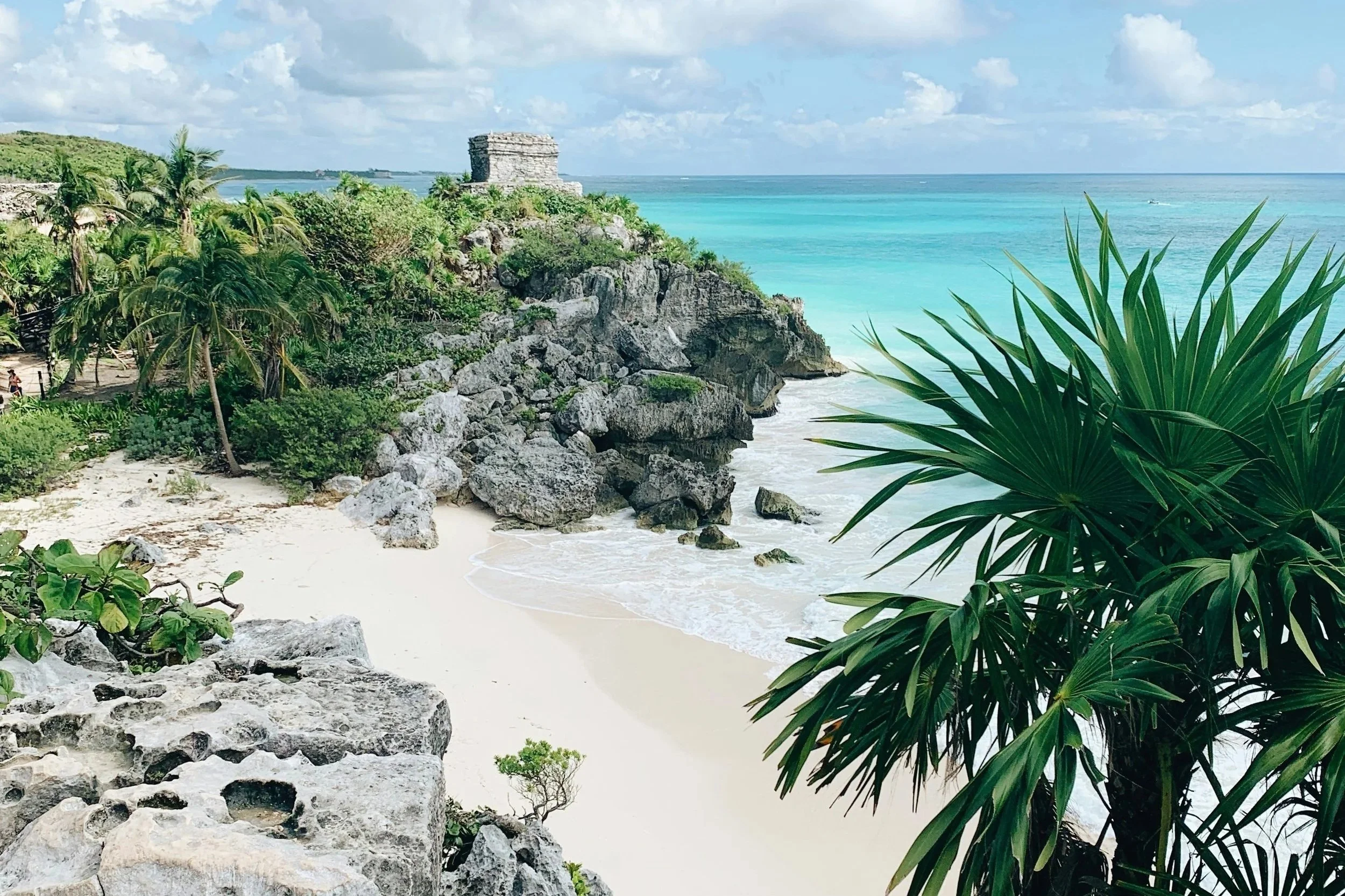 Tulum luxury beachfront with palm trees and clear turquoise sea