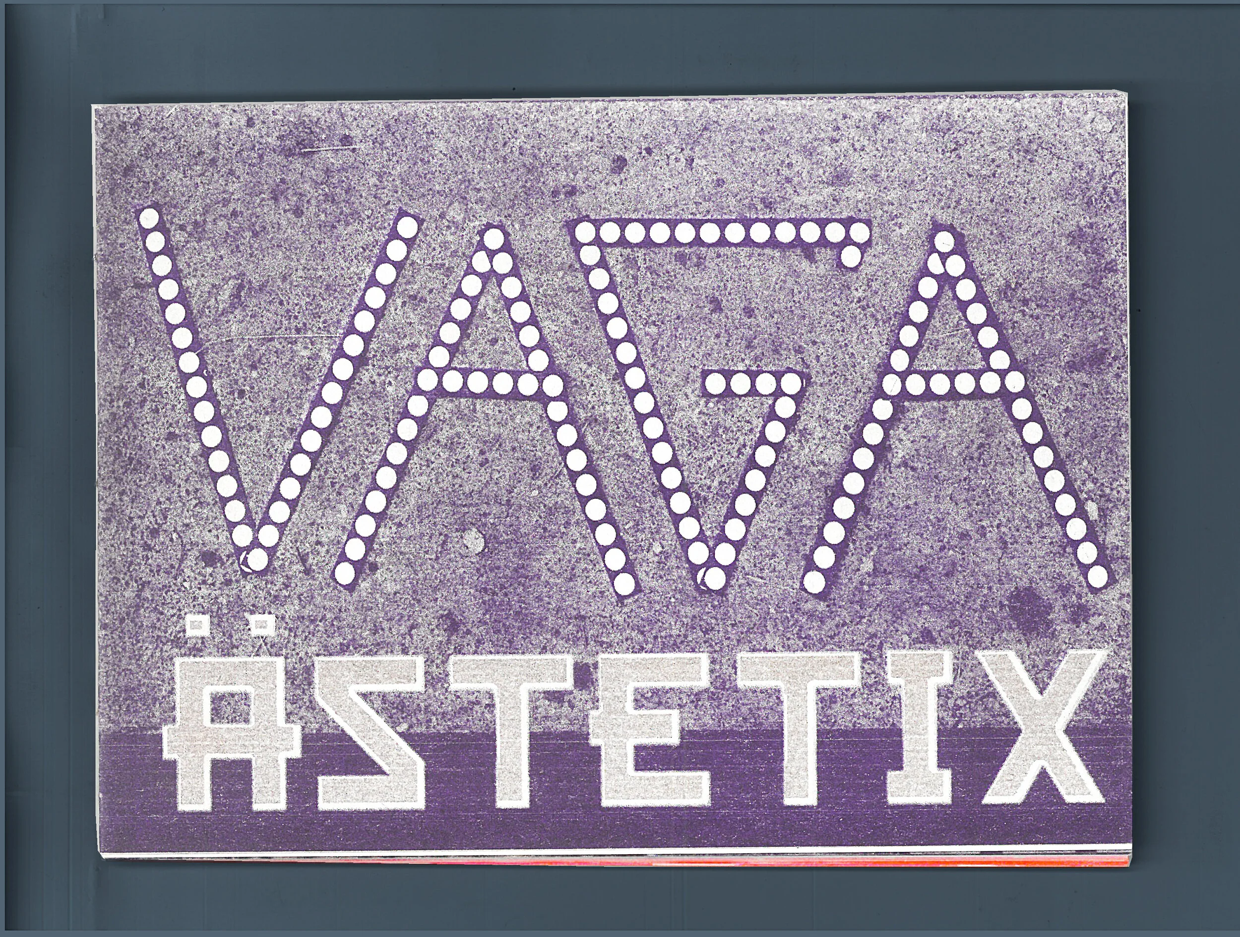 vagaestetix.jpg