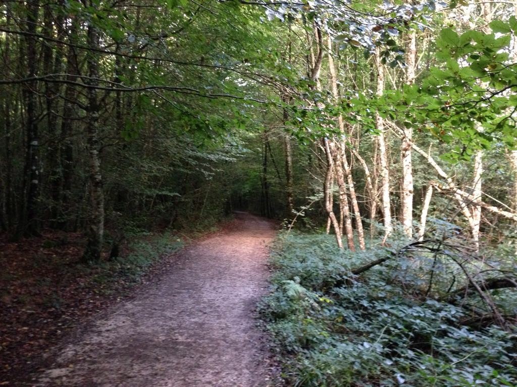 Pic22.jpg
