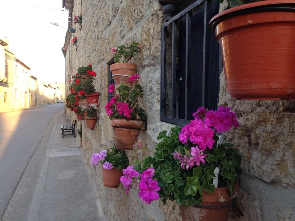 Pic162.jpg