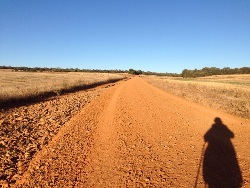 Pic286.jpg