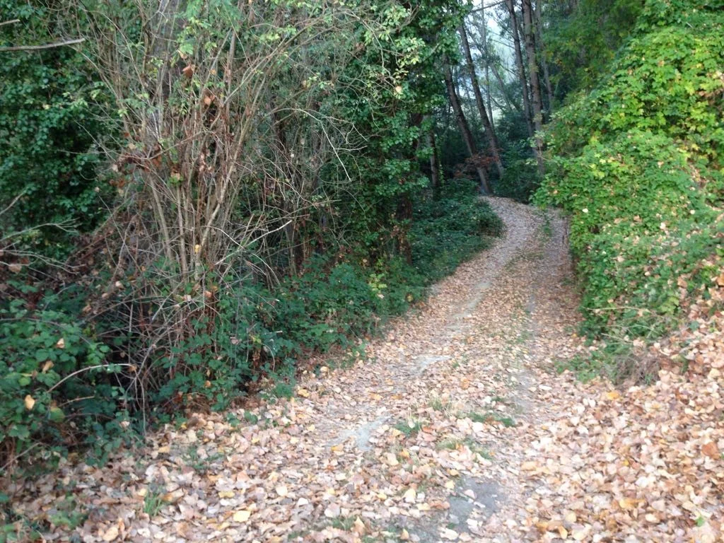 Pic376.jpg