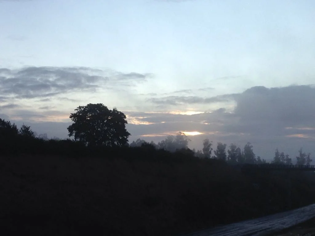 Pic26.jpg
