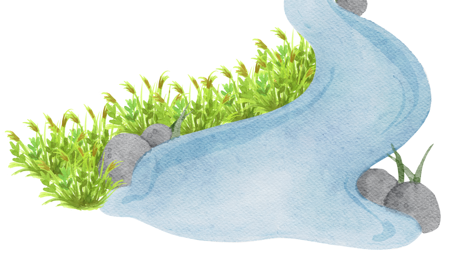 Green Pastures website banner.png