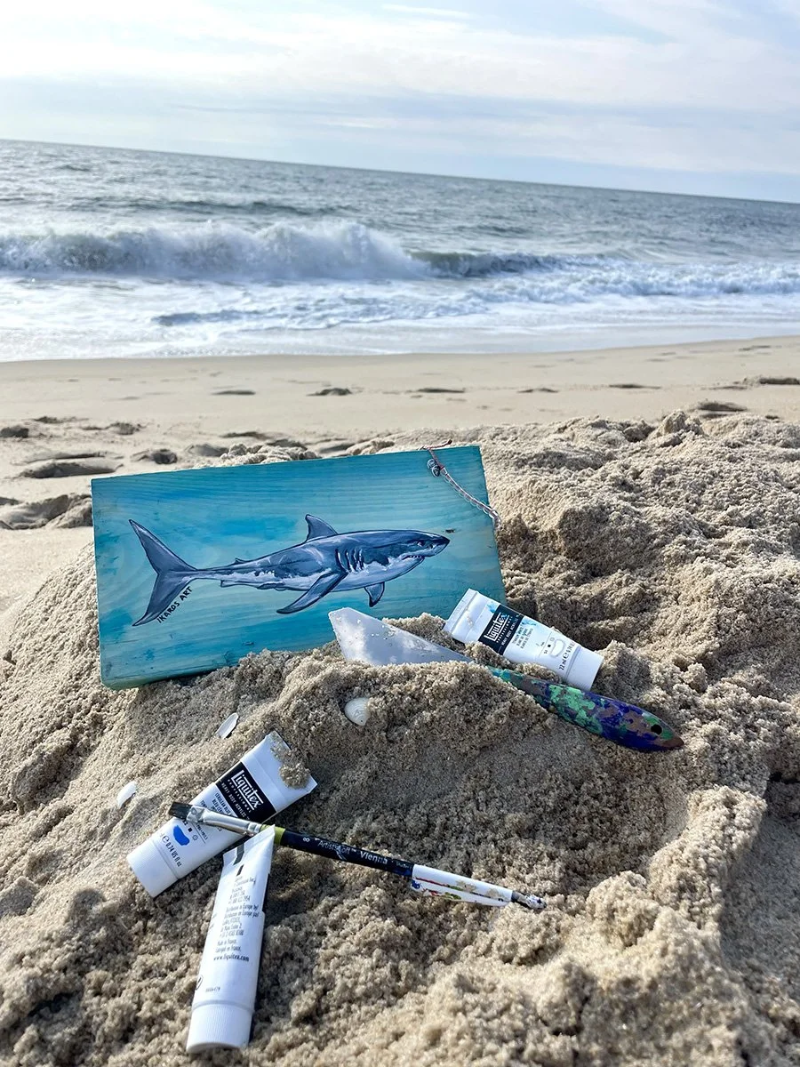 AWI_greatwhiteshark_oceancity.jpg