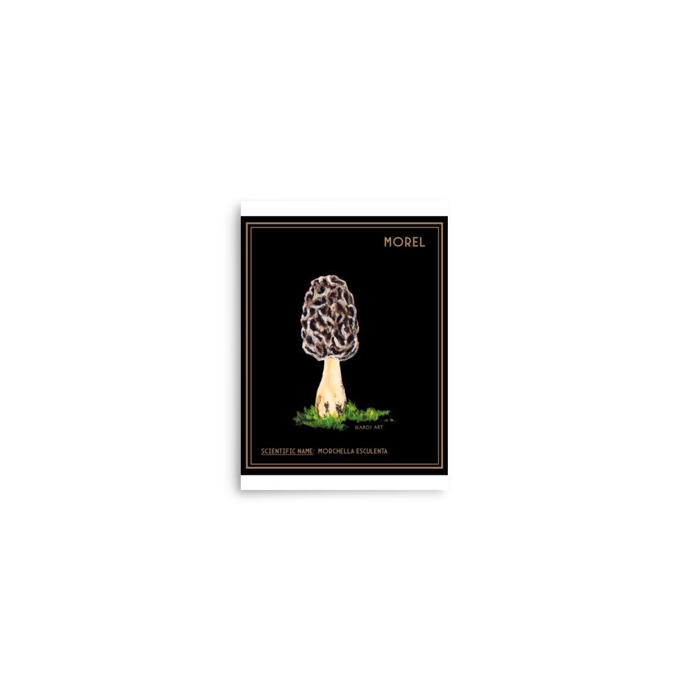 enhanced-matte-paper-poster-(in)-5x7-front-67e16a1bbdb69.jpg