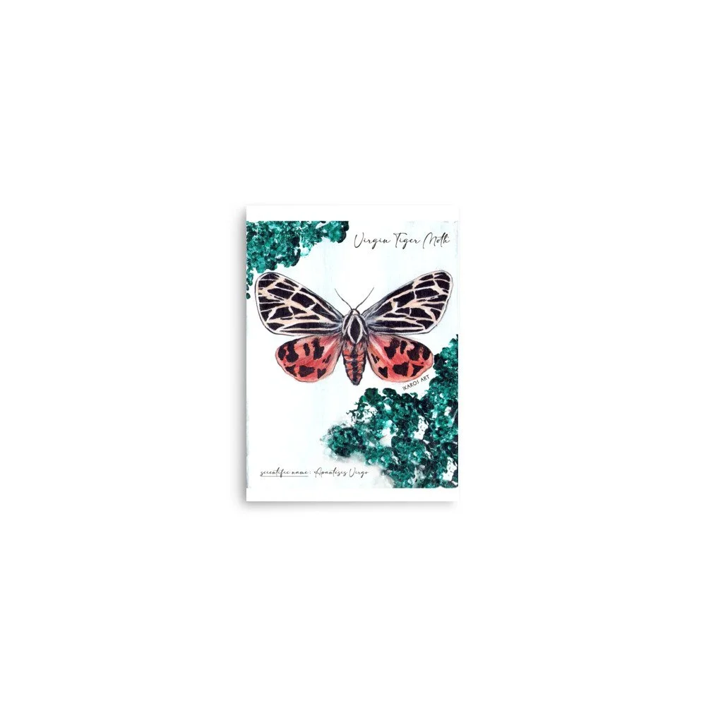 enhanced-matte-paper-poster-(in)-5x7-front-67e16d5c9ab39.jpg