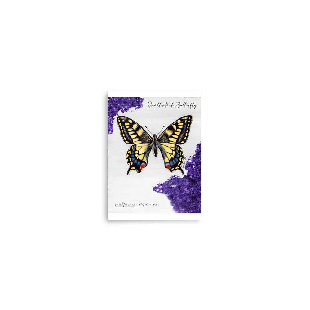 enhanced-matte-paper-poster-(in)-5x7-front-67e16e41f3afe.jpg