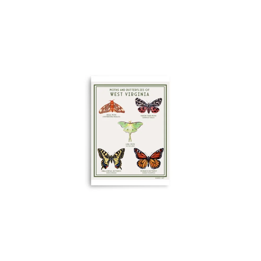 enhanced-matte-paper-poster-(in)-5x7-front-67e173682bbe3.jpg