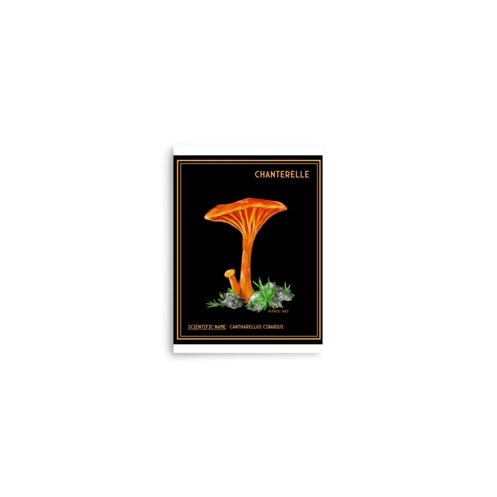 enhanced-matte-paper-poster-(in)-5x7-front-67e17c3eb480c.jpg