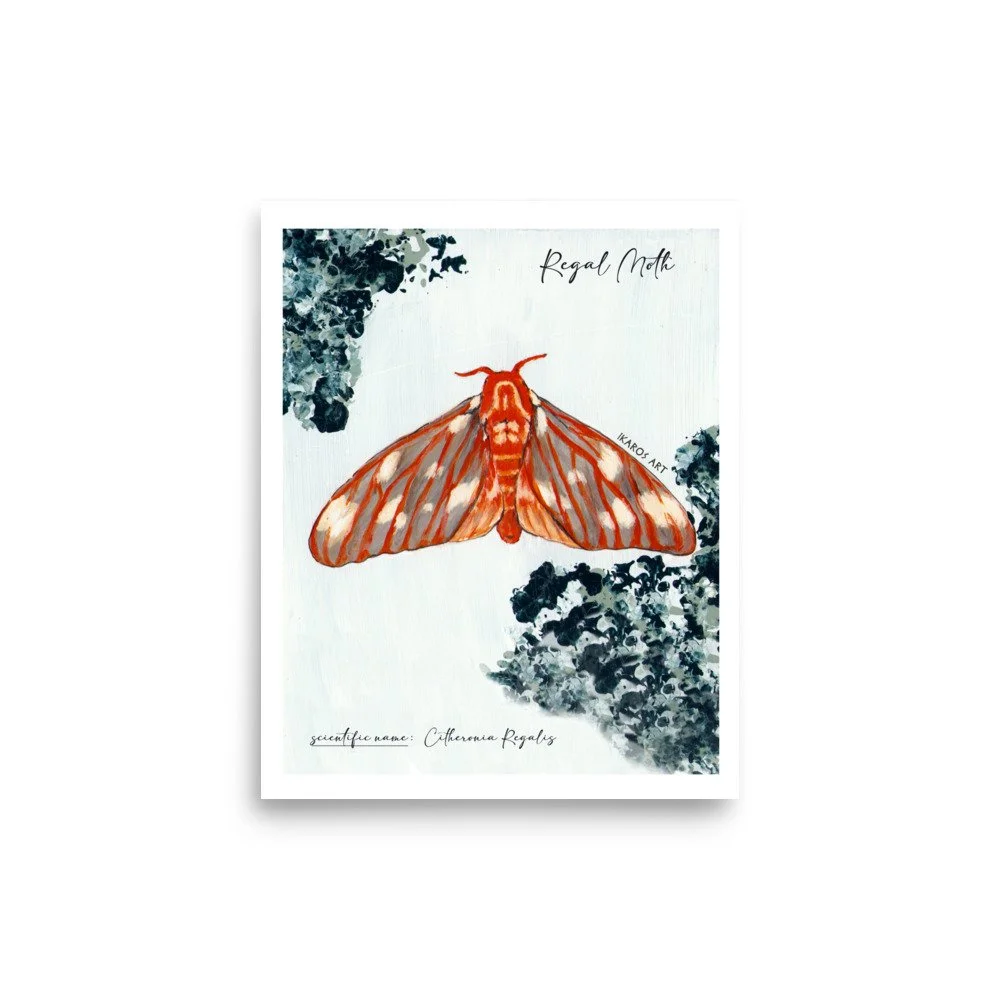 enhanced-matte-paper-poster-(in)-8x10-front-67e17f42bcda4.jpg