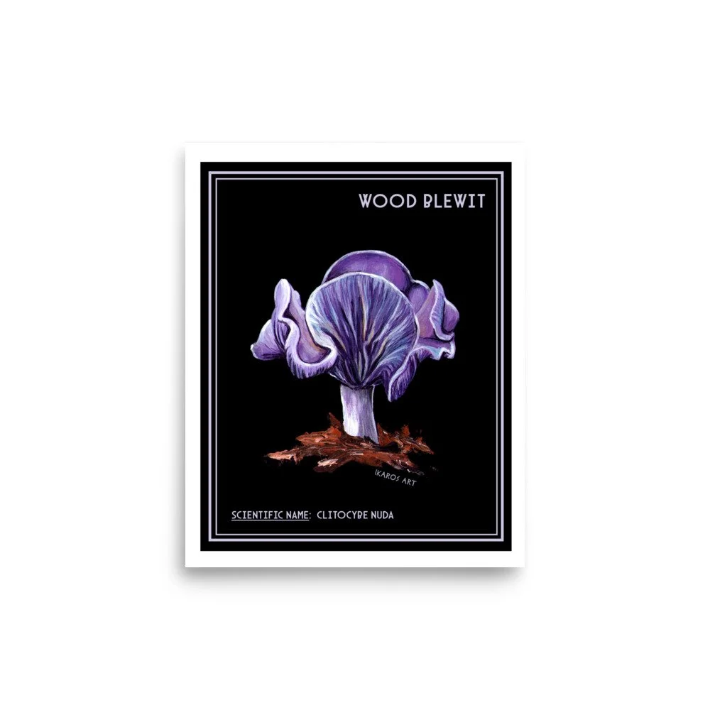 enhanced-matte-paper-poster-(in)-8x10-front-67fa82d3de747.jpg