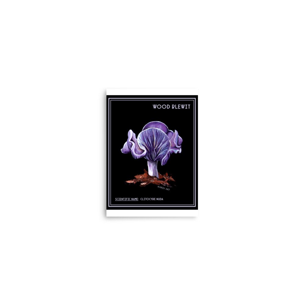 enhanced-matte-paper-poster-(in)-5x7-front-67fa82d3df3a6.jpg
