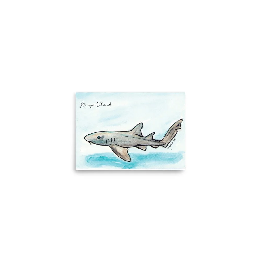 enhanced-matte-paper-poster-(in)-5x7-front-69fb8a858b19f.jpg