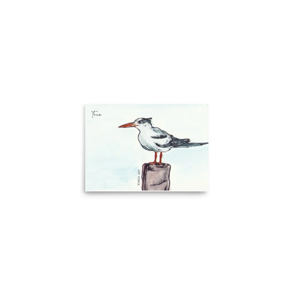 enhanced-matte-paper-poster-(in)-5x7-front-69fb8bab3c26b.jpg