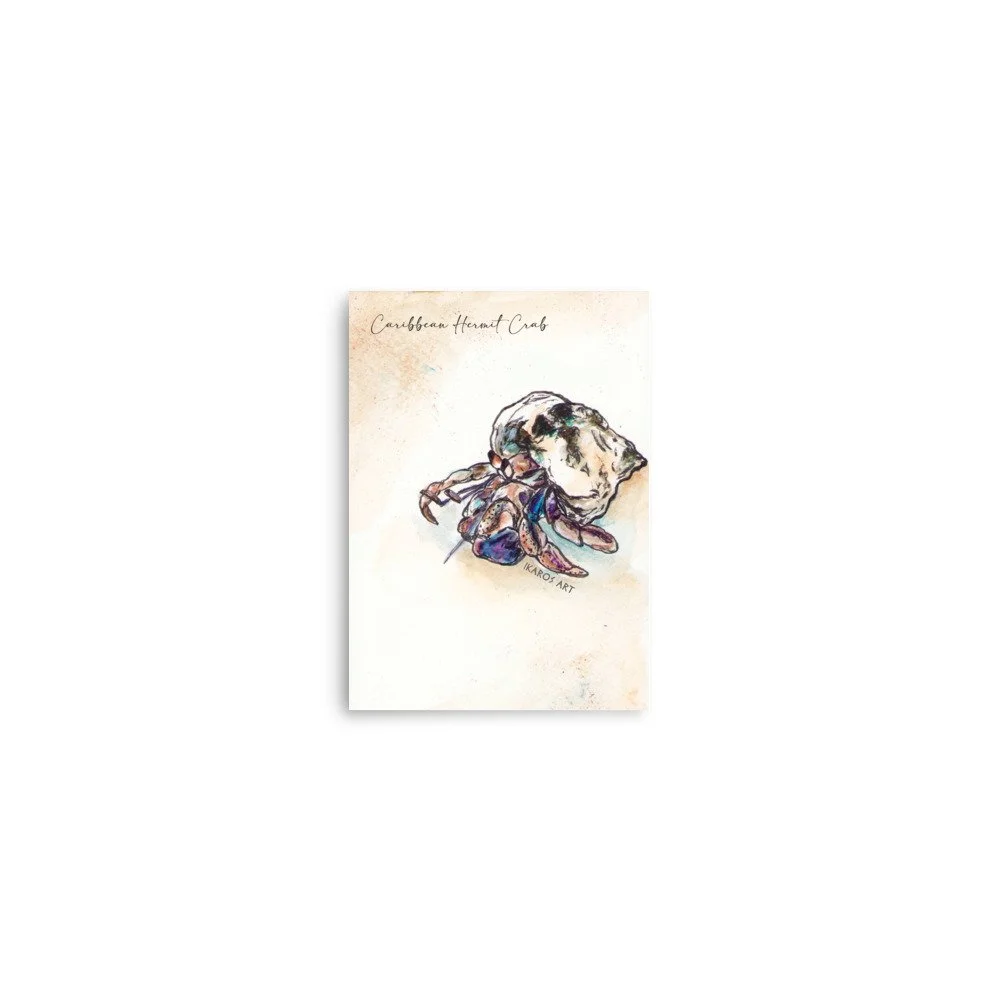 enhanced-matte-paper-poster-(in)-5x7-front-69fb8edcc329b.jpg