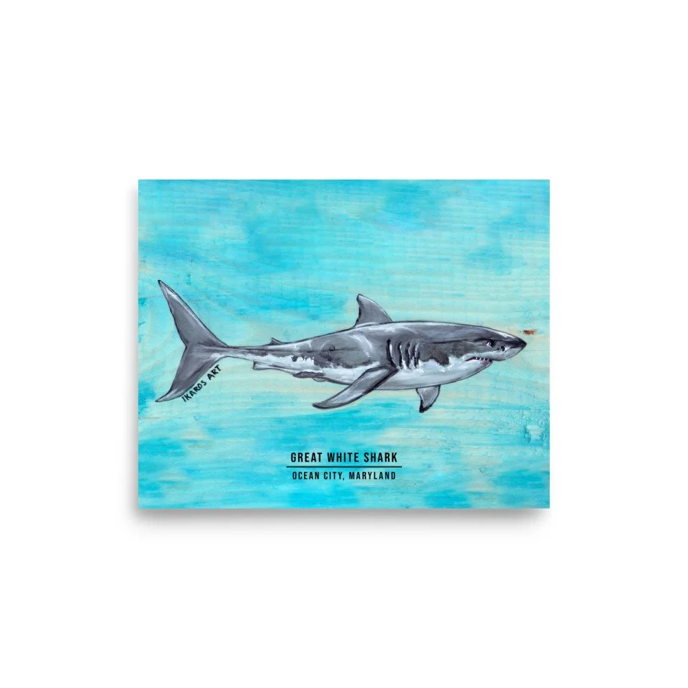 enhanced-matte-paper-poster-(in)-8x10-front-6a7a1bedb7fac.jpg