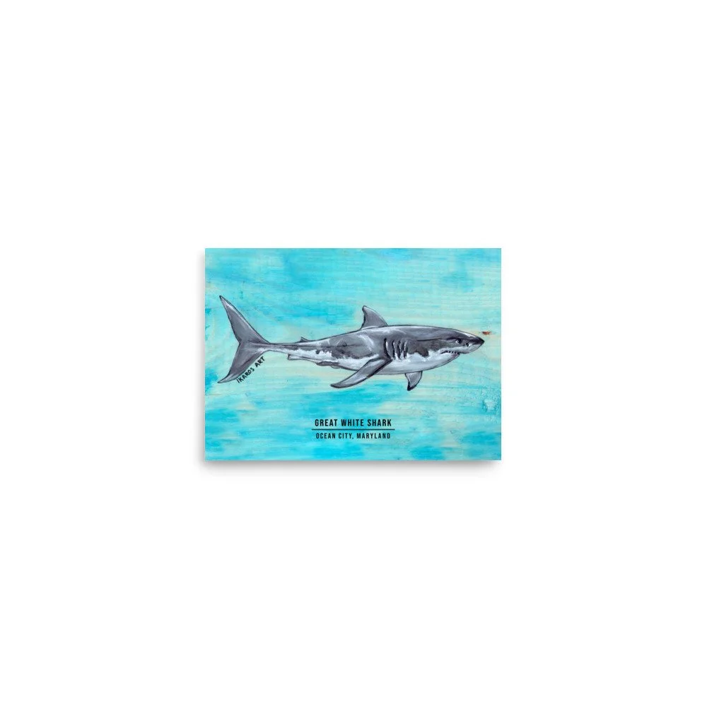 enhanced-matte-paper-poster-(in)-5x7-front-6a7a1bedb88d1.jpg