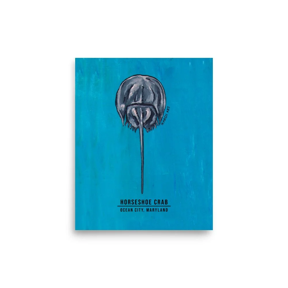 enhanced-matte-paper-poster-(in)-8x10-front-6a7a1f6d1cf06.jpg