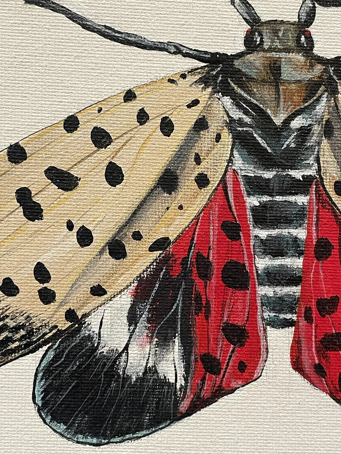 lanternfly_details.jpg