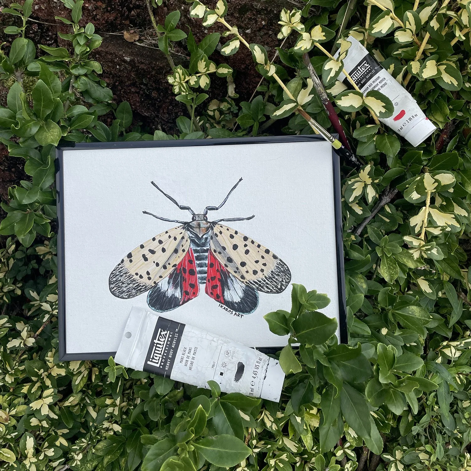 LanternFly_original.jpg