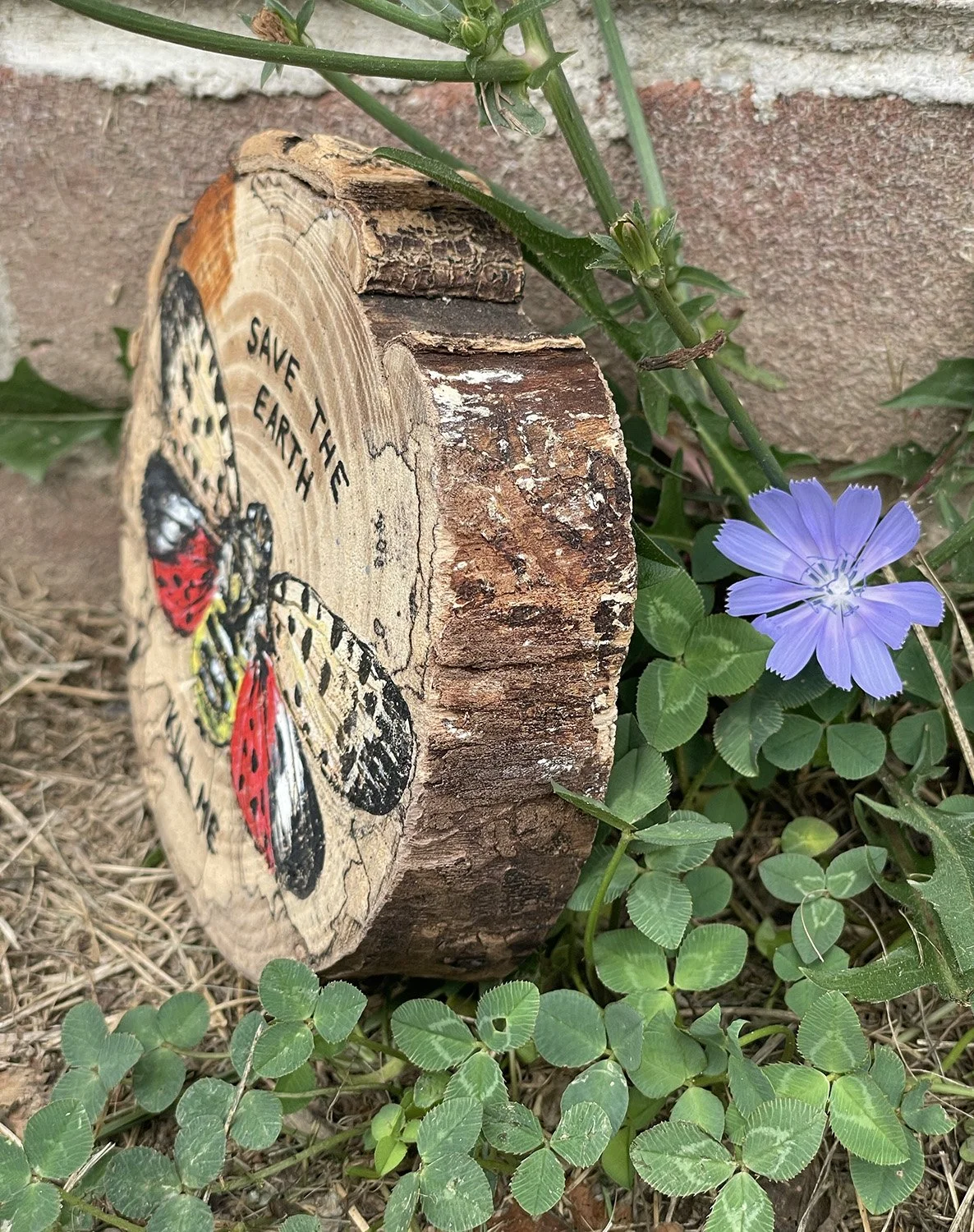 lanternfly_treecut_side.jpg