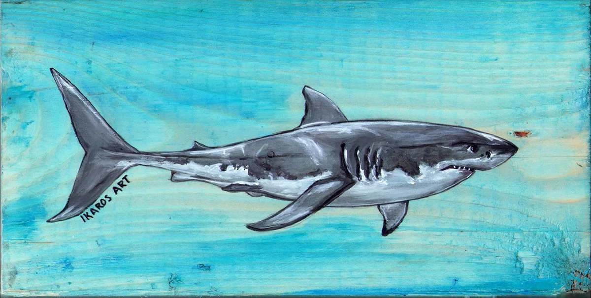 ArtwithImpact_Shark_OceanCity.jpg