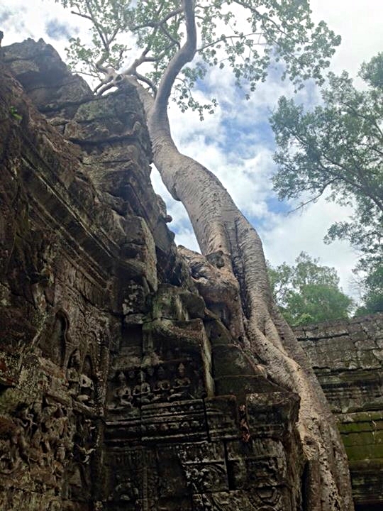 Ta Prohm