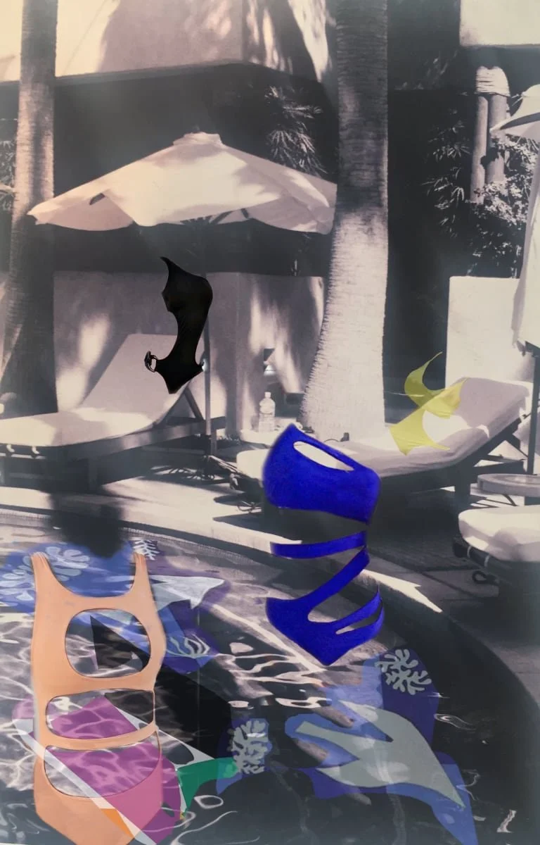 DK 15 LOBBY-Nicole Cohen-Matisse_Cut_Outs_GC.jpg