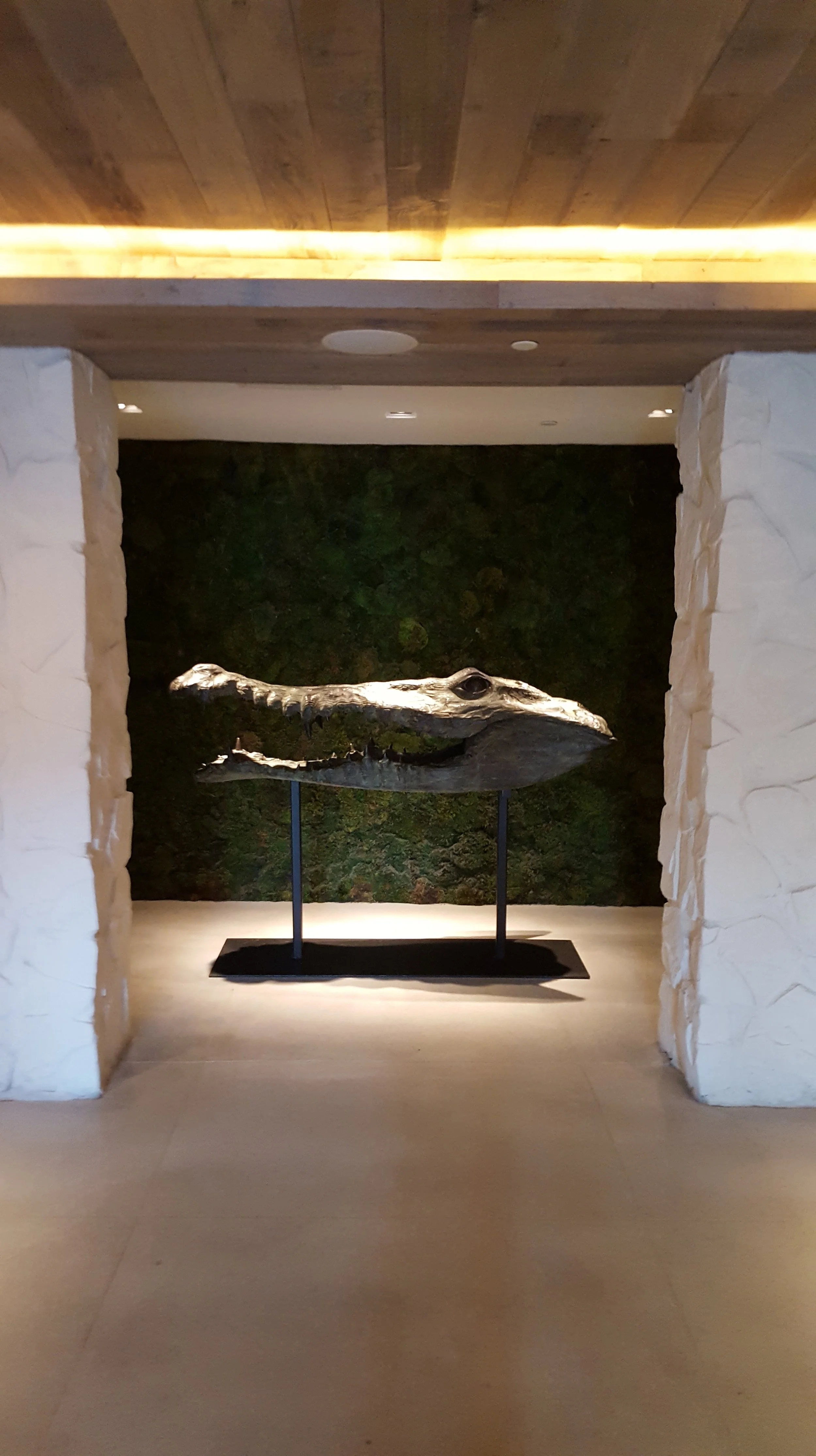 Let us not forget we are in Florida with this lobby art…