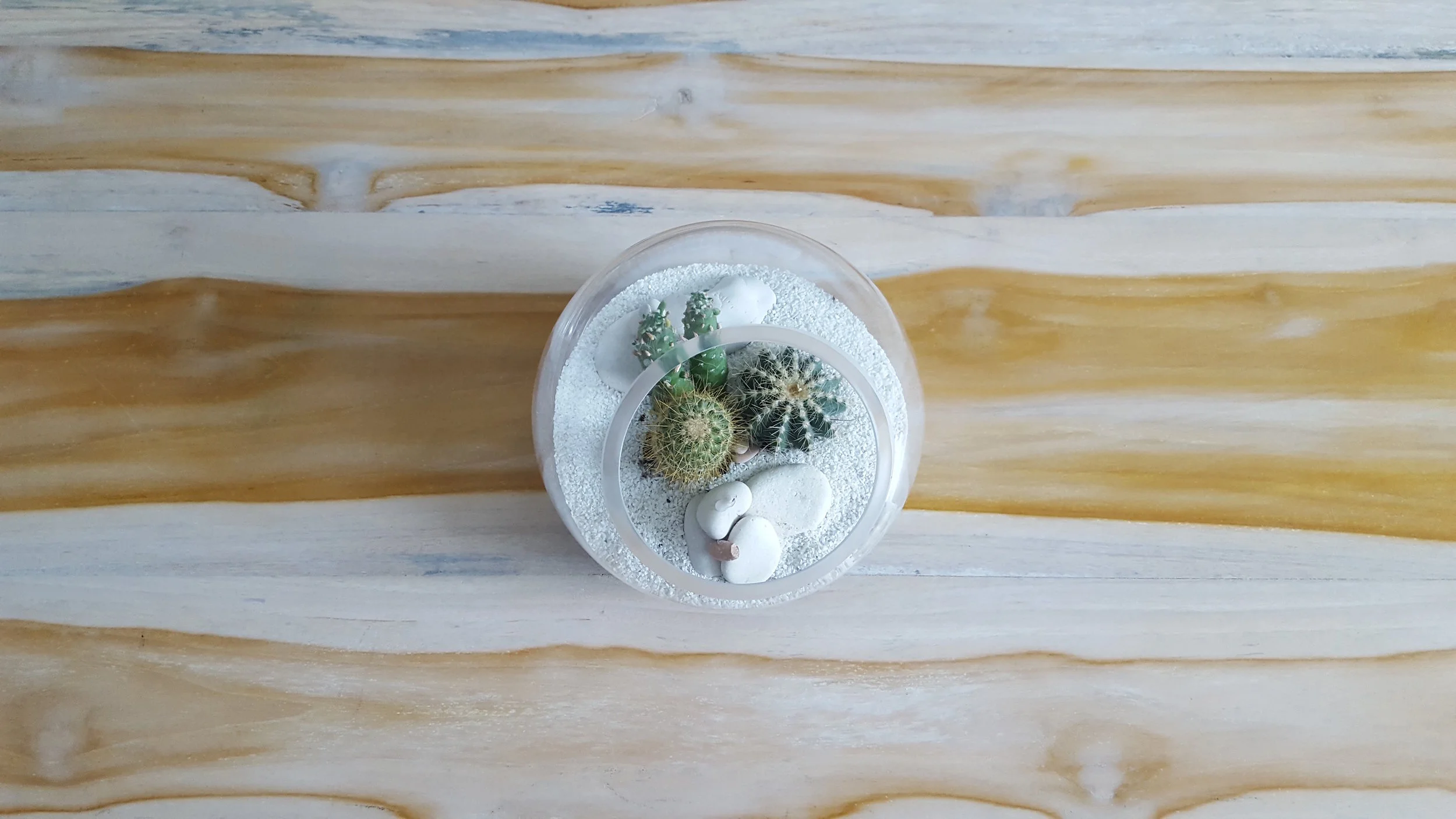 Terrariums like these scattered about the hotel