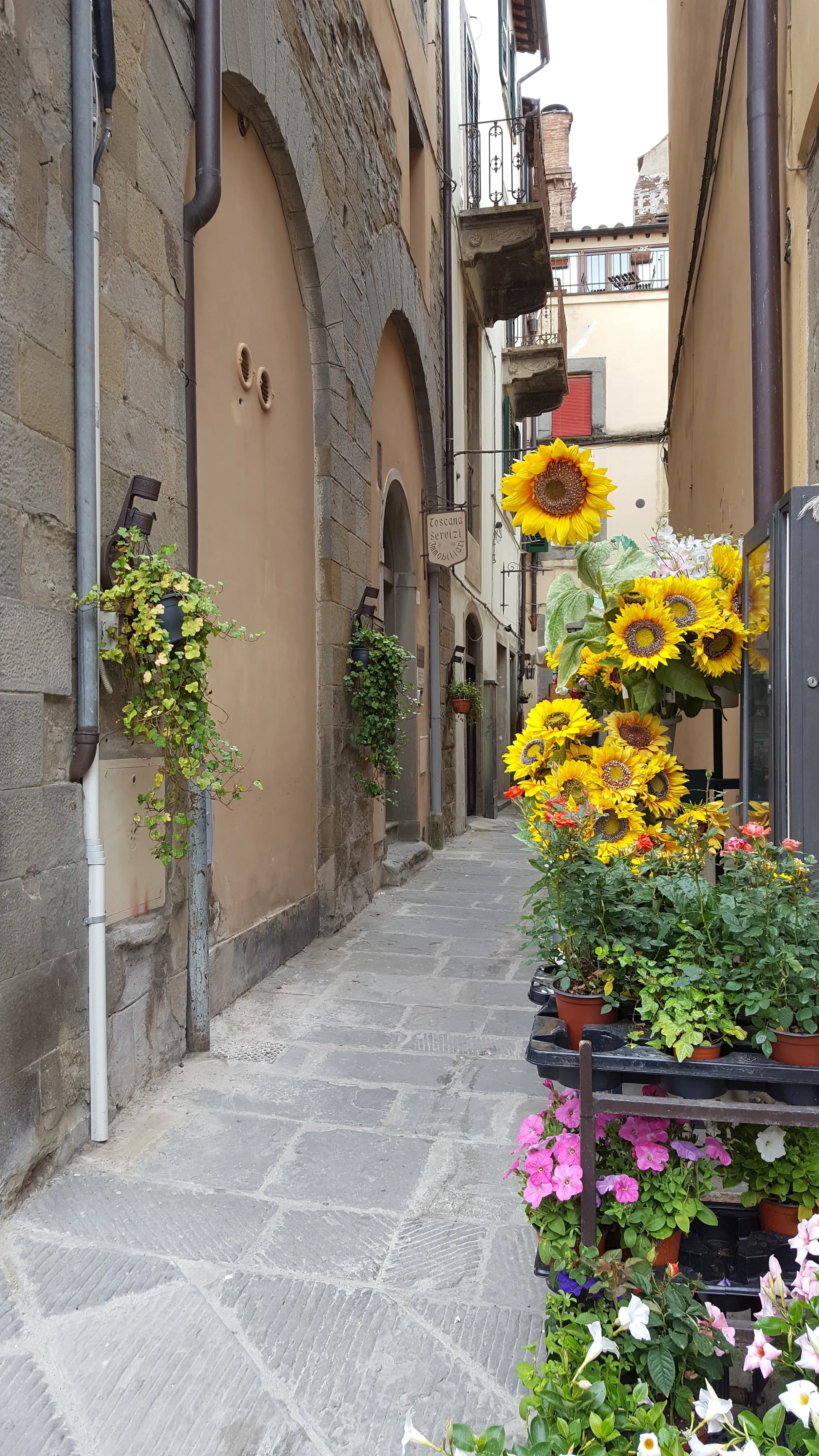 A small Cortonese street