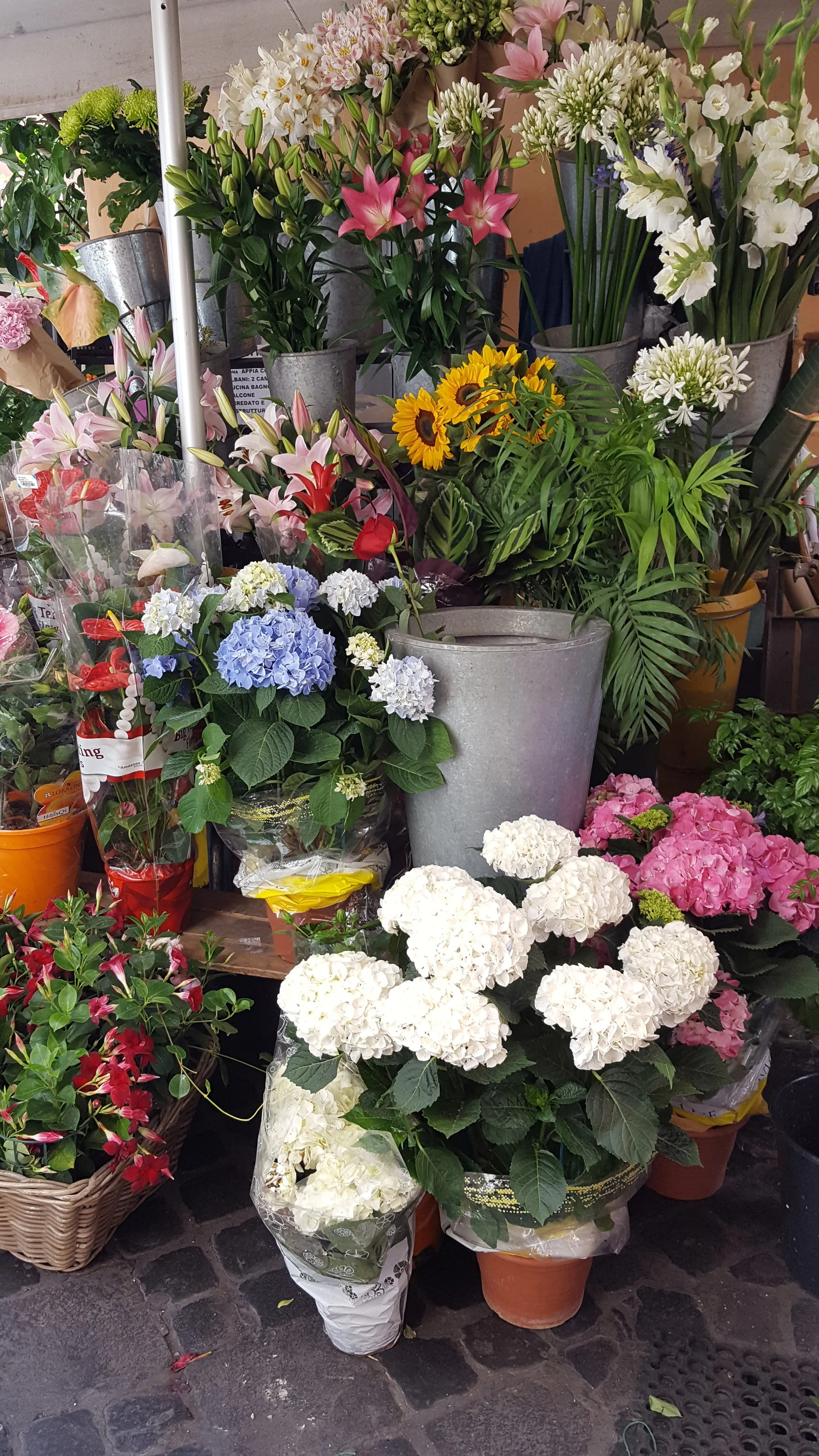 Neighborhood florist in Tridente