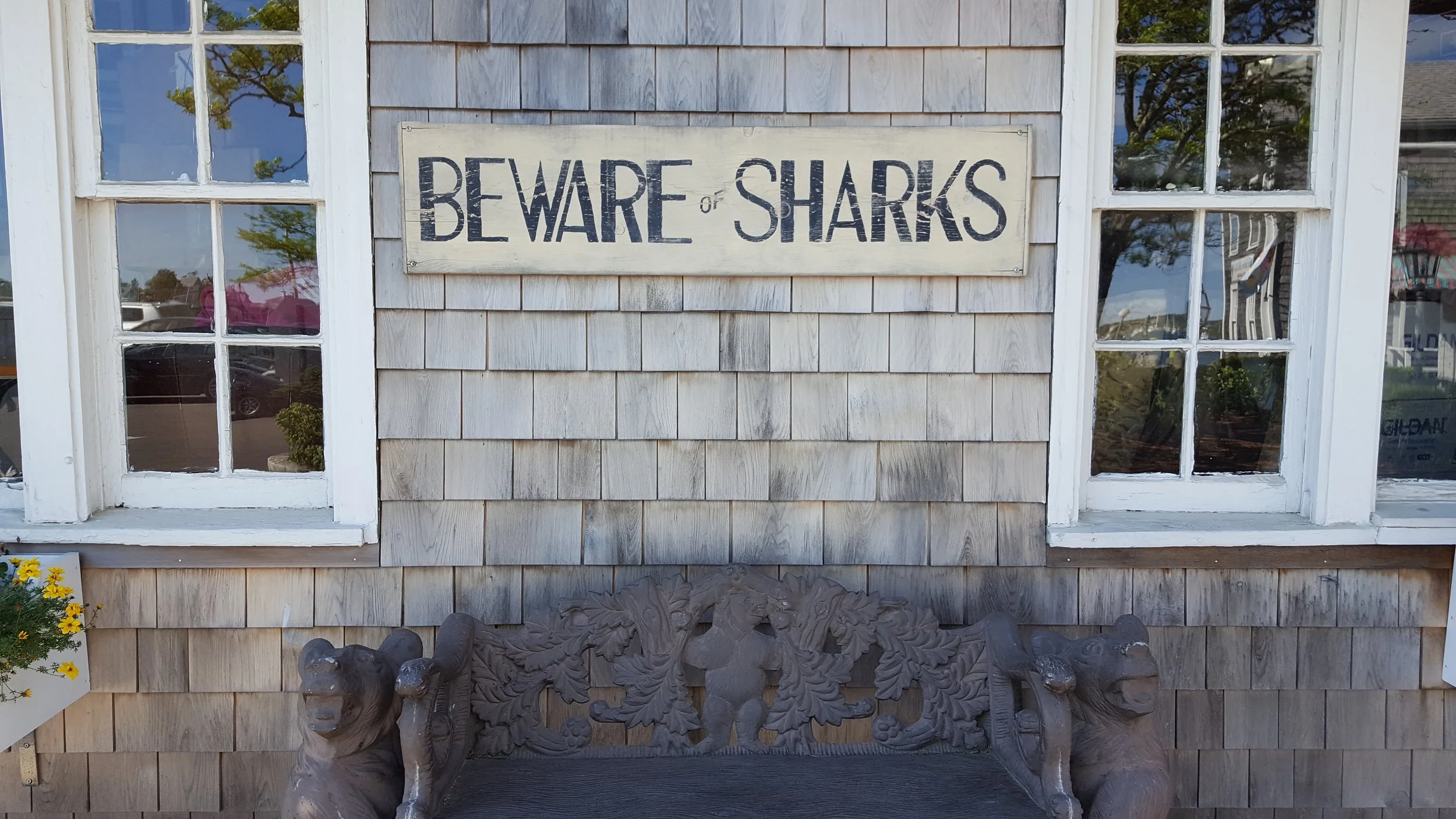 I mean, Jaws was filmed here...