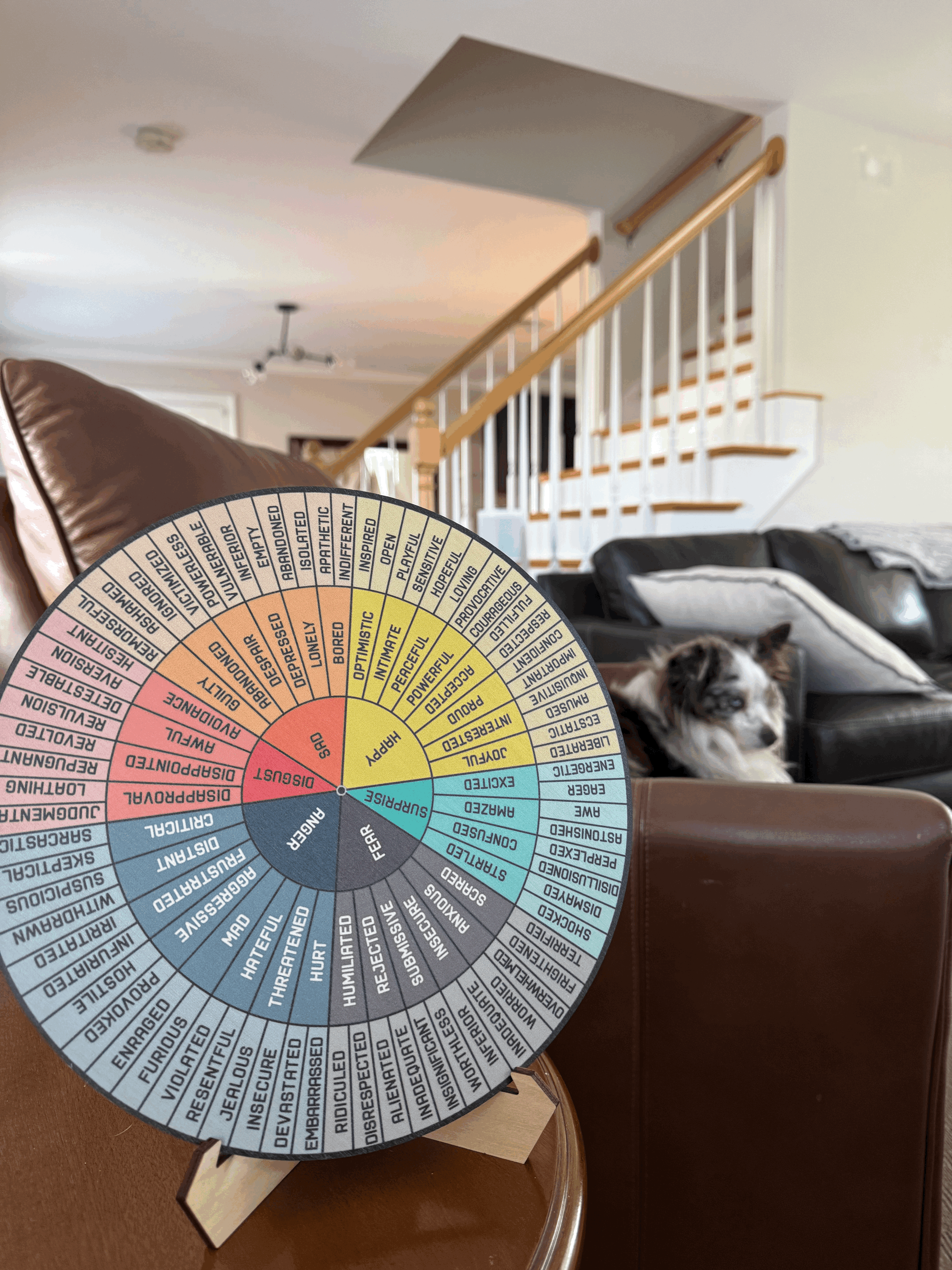 Emotions, Feelings, and Adoption 